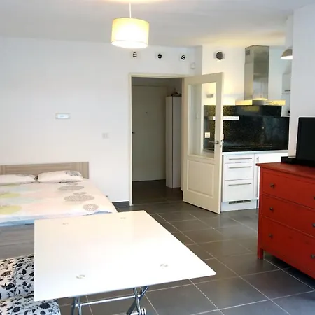 Large Bright Studio With Terrace In The Center Of Antibes Antibes